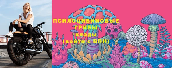 МДПВ Арсеньев